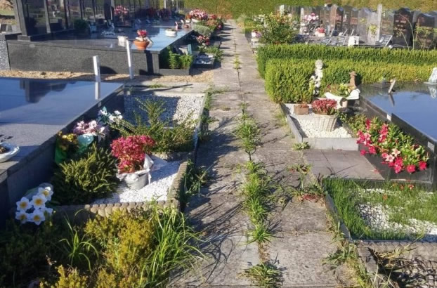 Zo zag de begraafplaats er een tijdje geleden uit Zo zag de begraafplaats er een tijdje geleden uit